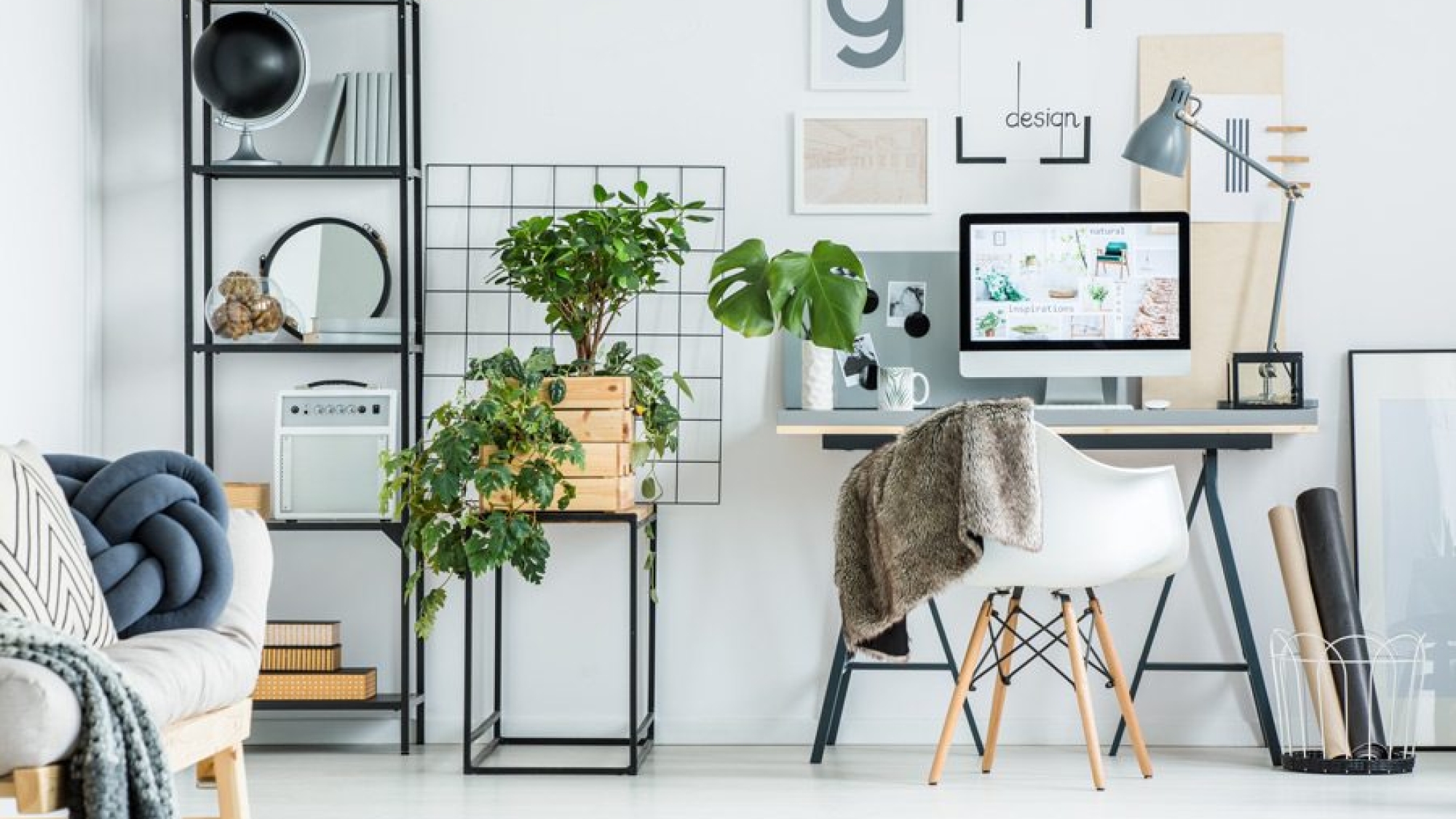 simple-home-office-with-tree-PBXRXYB