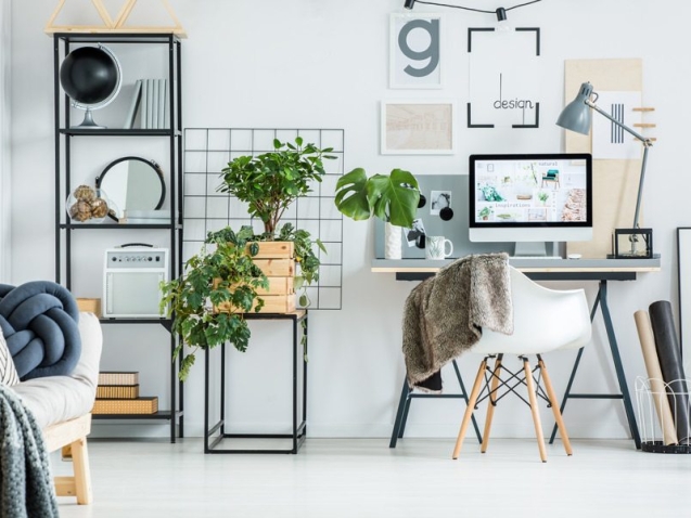 simple-home-office-with-tree-PBXRXYB