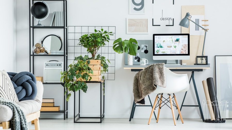 simple-home-office-with-tree-PBXRXYB