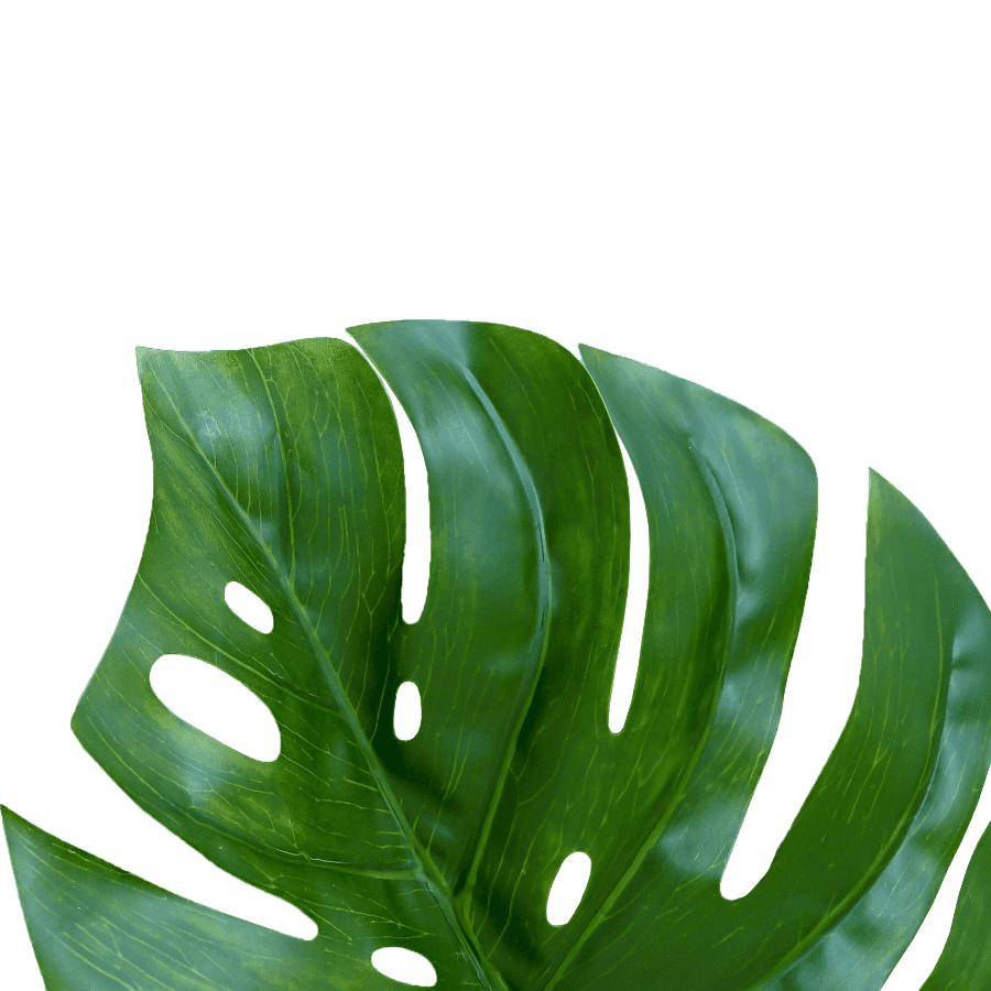 plante