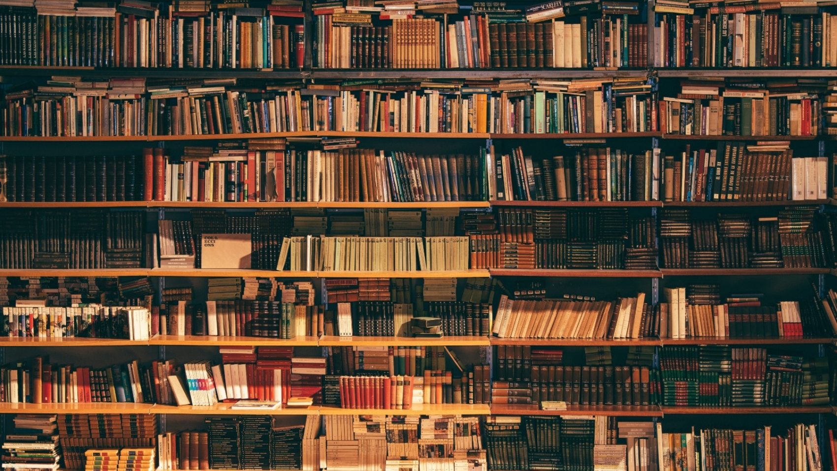 alfons-morales-410757-unsplash