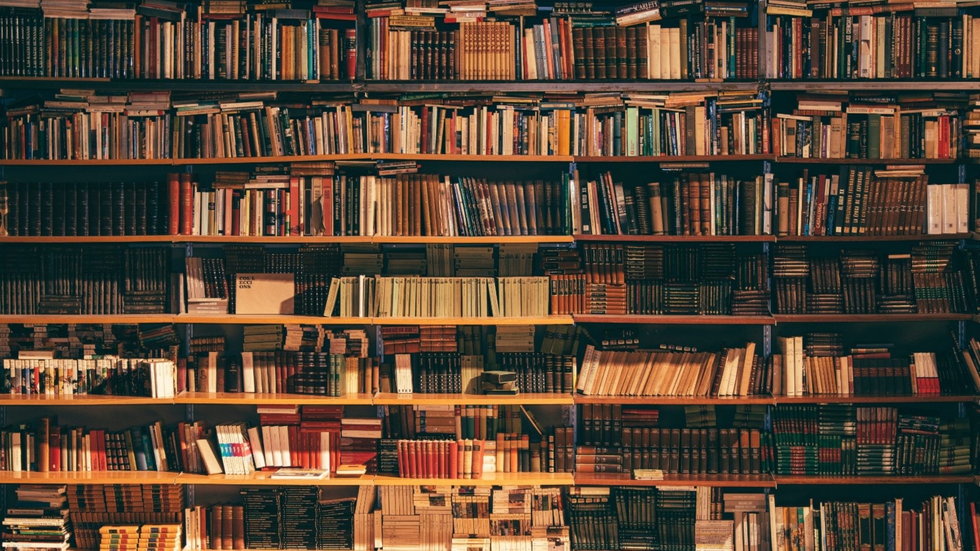 alfons-morales-410757-unsplash