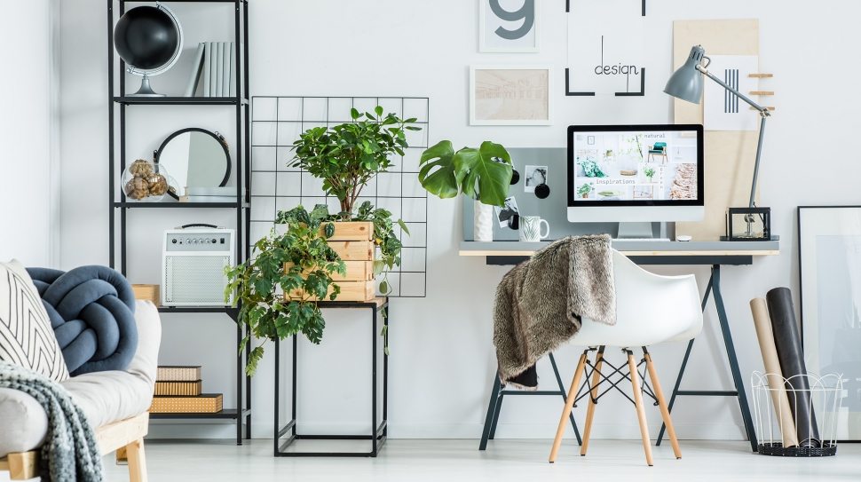 simple-home-office-with-tree-PBXRXYB