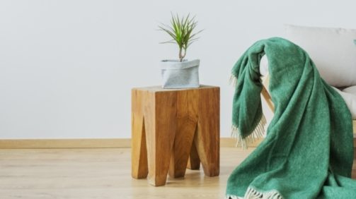 green-accents-in-the-interior-PAR9K65