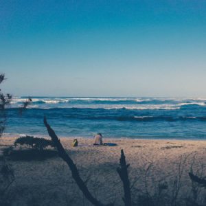 gallery201606280022