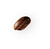 coffee-beans-P4MXYZD