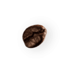 coffee-beans-P4MXYZD2