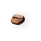 coffee-beans-P4MXYZD4