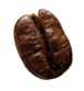 coffee-beans-P4MXYZD5