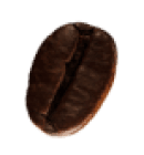 coffee-beans-P4MXYZD6