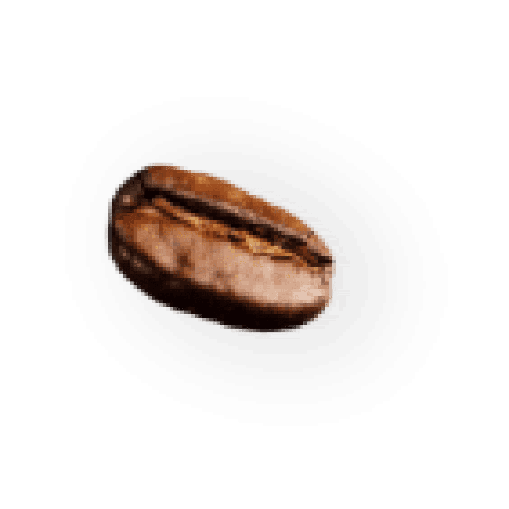 coffee-beans-P4MXYZD7