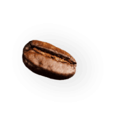 coffee-beans-P4MXYZD7@2x