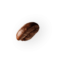 coffee-beans-P4MXYZD@2x