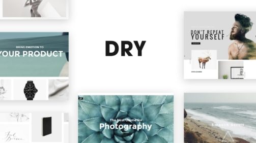 DRY-1