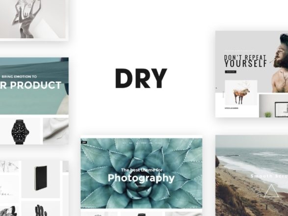 DRY-1