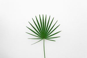 agata-create-1299343-unsplash
