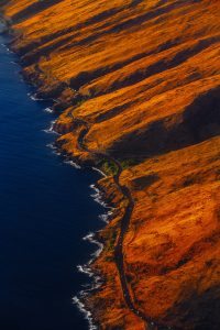 anton-repponen-99624-unsplash