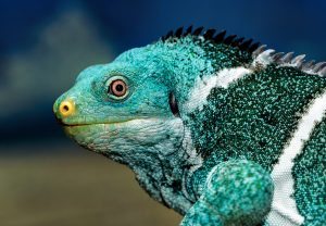 david-clode-1282751-unsplash