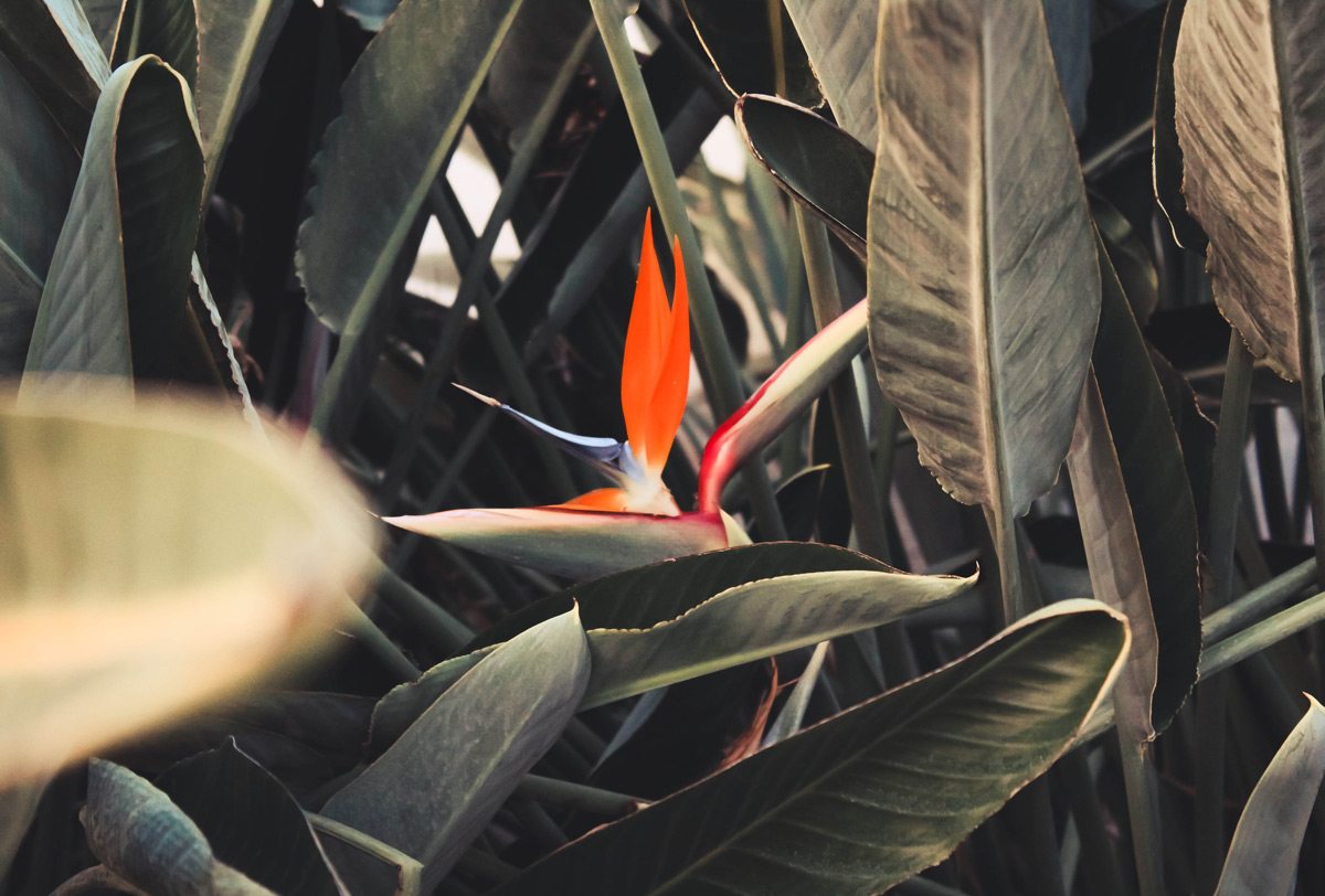 david-clode-13649152-unsplash