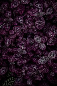 hybrid-656582-unsplash