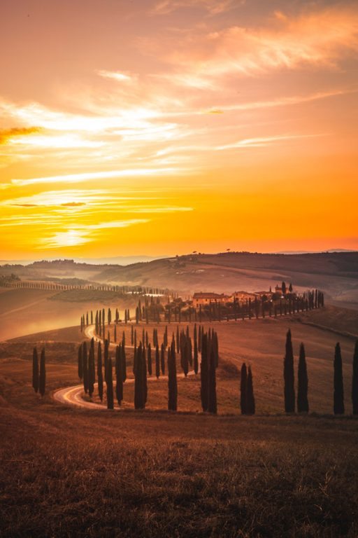 jarno-cobbaert-1348271-unsplash