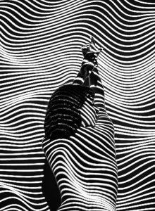 liliana-pereira-708261-unsplash