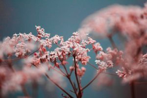 ryan-booth-666028-unsplash