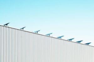 scott-webb-55167-unsplash