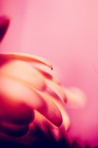 sharon-mccutcheon-634632-unsplash