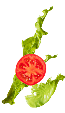 lettuce_tomato@2x