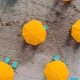 annie-spratt-487181-unsplash