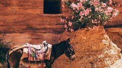 daniel-burka-243389-unsplash