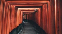 tianshu-liu-395929-unsplash