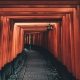 tianshu-liu-395929-unsplash