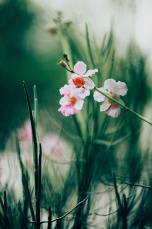 chuttersnap-565733-unsplash
