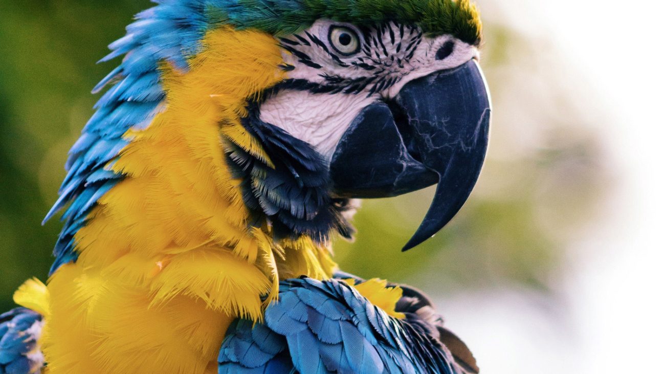 andrew-pons-57133-unsplash
