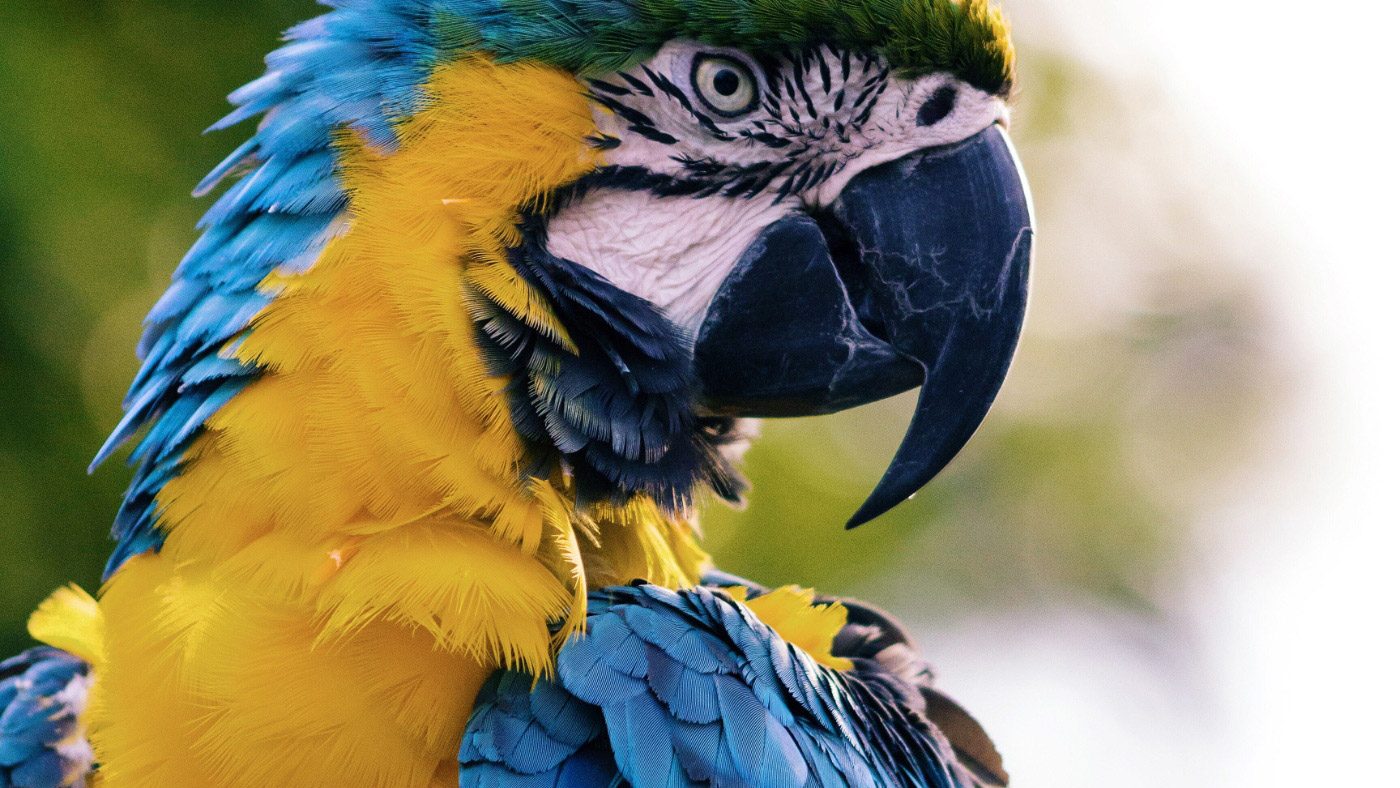 andrew-pons-57133-unsplash