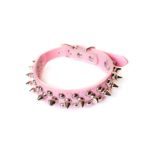 spike-collar-for-dog-JPKRAHV