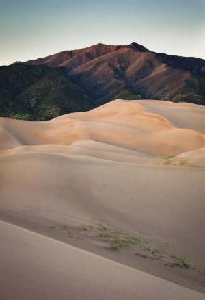 andrew-gloor-576171-unsplash