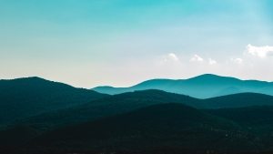 billy-williams-262740-unsplash