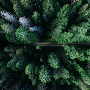 geran-de-klerk-136351-unsplash
