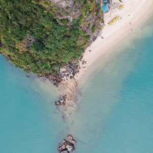 taylor-simpson-1445410-unsplash