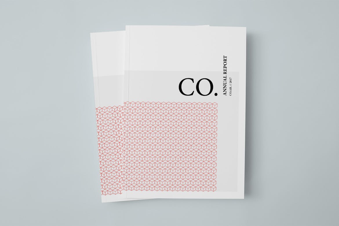 CO.-Annual-Report