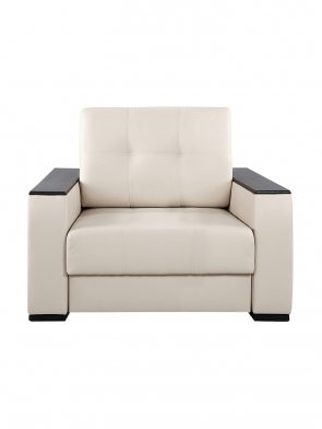 modern-armchair-isolated-on-white-background-PPYCANV@2x
