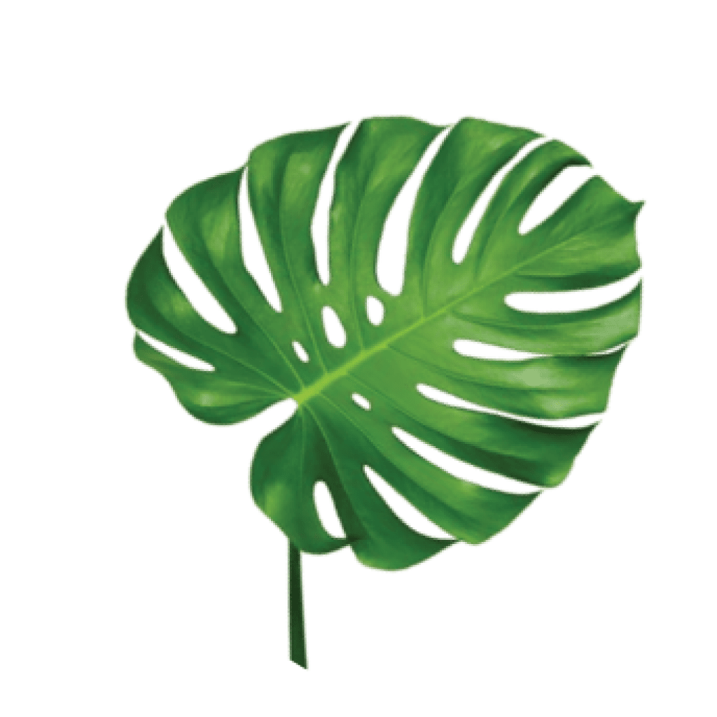leaf