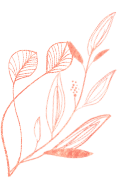 new-flower-title-3